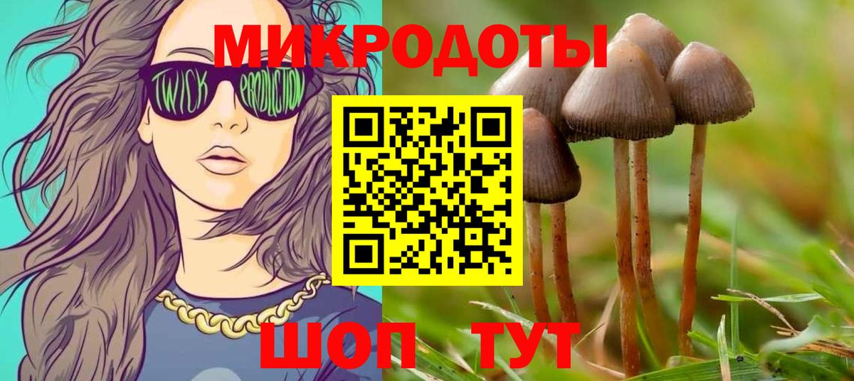 Галлюциногенные грибы мухоморы Когалым