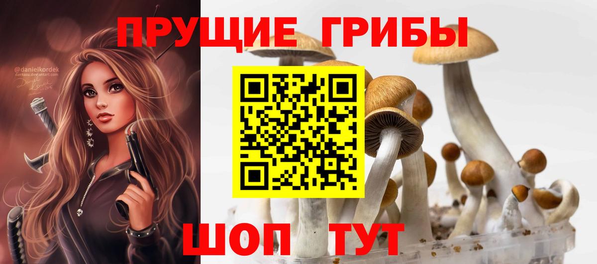 Псилоцибиновые грибы мицелий  Вход с VPN  Галлюциногенные грибы Psilocybe  Когалым 